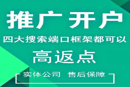百度推广代理商服务优势案例分析
